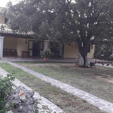 Agriturismo La Tuva Villa Padru Exterior photo